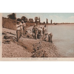 33 BAURECH. Pêche à l'Alose