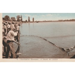 33 BAURECH. Pêche à l'Alose au filet