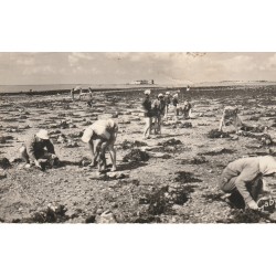 Photo cpsm petit format 17 FOURAS. La Pêche au Coquillages à la Pointe de la Fumée 1959