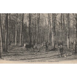 28 SENONCHES. Fermier et Vaches en Forêt 1912