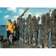 5 Photo Cpsm grand format METIERS DE LA MER. Elevage Moules sur bouchots, ramassage Huîtres sur Parc et Mytiliculteur
