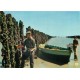 5 Photo Cpsm grand format METIERS DE LA MER. Elevage Moules sur bouchots, ramassage Huîtres sur Parc et Mytiliculteur