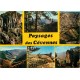 Superbe lot de 15 Photos Cpsm grand format FRANCE Etrangères ou Fantaisies