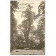 carte postale ancienne 21 DIJON. Jardin de l'Arquebuse. Le Peuplier Noir 1915