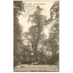 carte postale ancienne 21 DIJON. Jardin de l'Arquebuse. Le Peuplier Noir 1915
