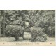 RARE et Superbe lot de 20 cpa SUR LA FRANCE ENTIERE