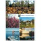 Superbe lot de 15 Photos Cpsm grand format France Etrangères ou Fantaisies