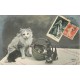 Rare et Superbe lot de 20 cartes postales anciennes " FANTAISIES " à partir de 1903