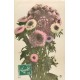 Rare et Superbe lot de 20 cartes postales anciennes " FANTAISIES " à partir de 1903