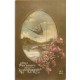 Rare et Superbe lot de 20 cartes postales anciennes " FANTAISIES " à partir de 1903