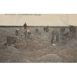 77 RECLOSES. La Cueillette des Asperges 1907 tampon Colonie du Bon Conseil