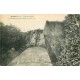 Rare et Superbe lot de 20 cpa SUR LA FRANCE ENTIERE dont une photo carte postale
