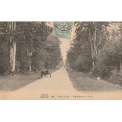 77 RECLOSES. Attelage à l'Entrée de la Forêt vers 1906