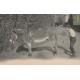 92 ROBINSON. Gonflement d'un dirigeable avec âne et soufflet 1920