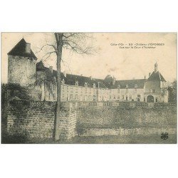 carte postale ancienne 21 EPOISSES. La Cour d'Honneur du Château