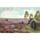 Rare et Superbe lot de 20 cartes postales anciennes SUR LE MONDE ENTIER