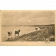 Rare et Superbe lot de 20 cartes postales anciennes SUR LE MONDE ENTIER