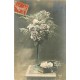 Rare et Superbe lot de 20 cartes postales anciennes FANTAISIES