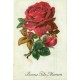 Rare et Superbe lot de 20 cartes postales anciennes FANTAISIES
