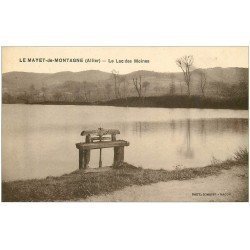 carte postale ancienne 03 LE MAYET-DE-MONTAGNE. Lac des Moines