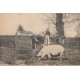 24 SAINTE-MARIE-DE-CHIGNAC. Recherche de la Truffe en Périgord, l'Arrêt 1919