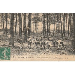 92 CHAVILLE. Ramasseurs de châtaignes dans le Bois 1913