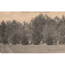 41 PONT-LEVOY. Rucher des Bordes ruches à abeilles avec tampon Bodard Apiculteur
