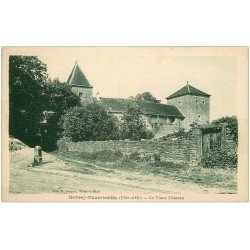 carte postale ancienne 21 GEVREY-CHAMBERTIN. Le Vieux Château