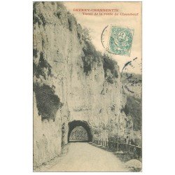 carte postale ancienne 21 GEVREY-CHAMBERTIN. Tunnel de la Route de Chambeuf 1906