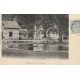 72 CHATEAU DU LUART ou LOIR. La Ferme avec poules et canards 1903