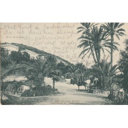 OSPEDALETTI. Riviera di Ponente Palme presso casino 1907