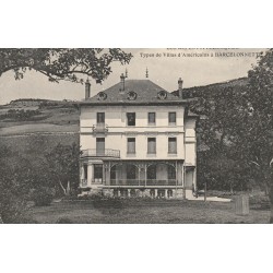 04 BARCELONNETTE. Types de Villas d'Américains 1914