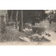 69 LYON. Le Coin des Cygnes au Parc 1908