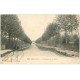 carte postale ancienne 21 MIREBEAU. Jeunes Filles sur l'Avenue de la Gare vers 1903...