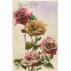 Rare et superbe lot de 20 cpa FANTAISIES diverses dès 1910...