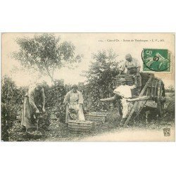 21 NUITS-SAINT-GEORGES. Scènes de Vendanges 1907. Raisins et Vignes