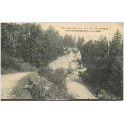 carte postale ancienne 01 Forêt de Meyriat. Route de Brénod. Embranchement Chevillard