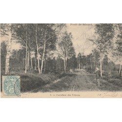91 FORÊT DE SENARD SENART. Carrefour des Princes avec personnage 1904