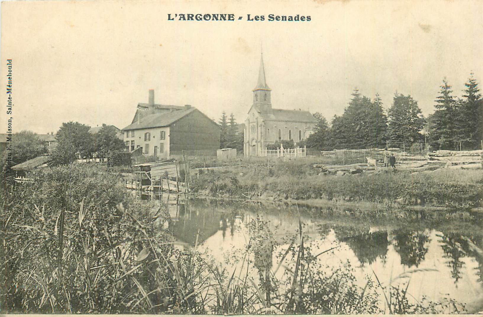 55 L'ARGONNE. Les Senades 1915