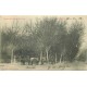 11 NARBONNE. Entrée de la Promenade de la Gare belle animation 1904