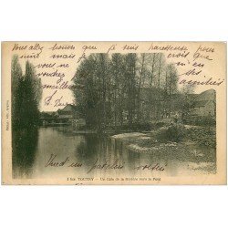 carte postale ancienne 21 TOUTRY. La Rivière vers le Pont