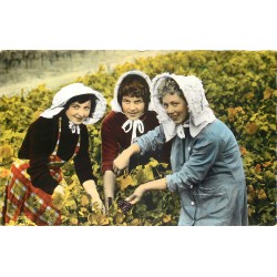 51 VENDANGES EN CHAMPAGNE. Jeunes Filles coiffées du Bagnolet