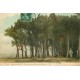 62 PARIS-PLAGE. Forêt sur les rives de la Cauche avec personnages 1909 timbre taxe...