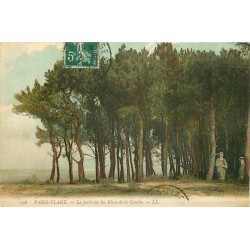62 PARIS-PLAGE. Forêt sur les rives de la Cauche avec personnages 1909 timbre taxe...