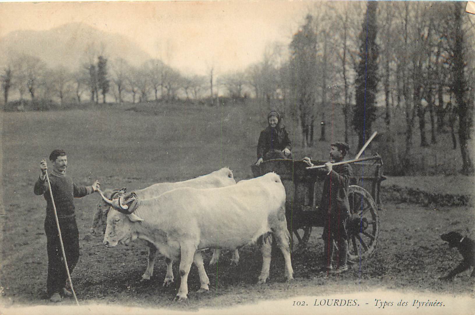65 LOURDES. Types des Pyrénées avec attelage de boeufs et chien
