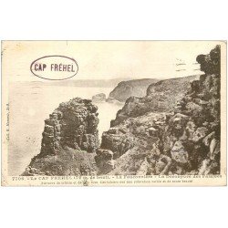 carte postale ancienne 22 CAP FREHEL. Fauconnière et Falaises 1934