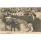 64 BAYONNE. Corrida Courses de Taureaux. Après l'Estocade le matador assis devant le Taureau