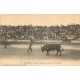 64 BAYONNE. Corrida Courses de Taureaux. La pose des banderillas